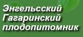 Энгельсский Гагаринский Плодопитомник - Рабочий поселок Приволжский logo.jpg
